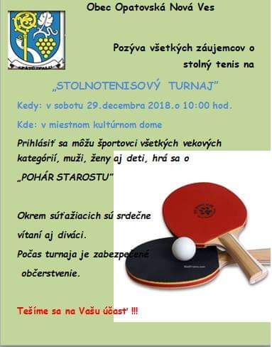 Fotogaléria Stolnotenisový turnaj (DECEMBER) (14) Stolnotenisový turnaj (DECEMBER)